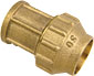 Brass PE Fittings